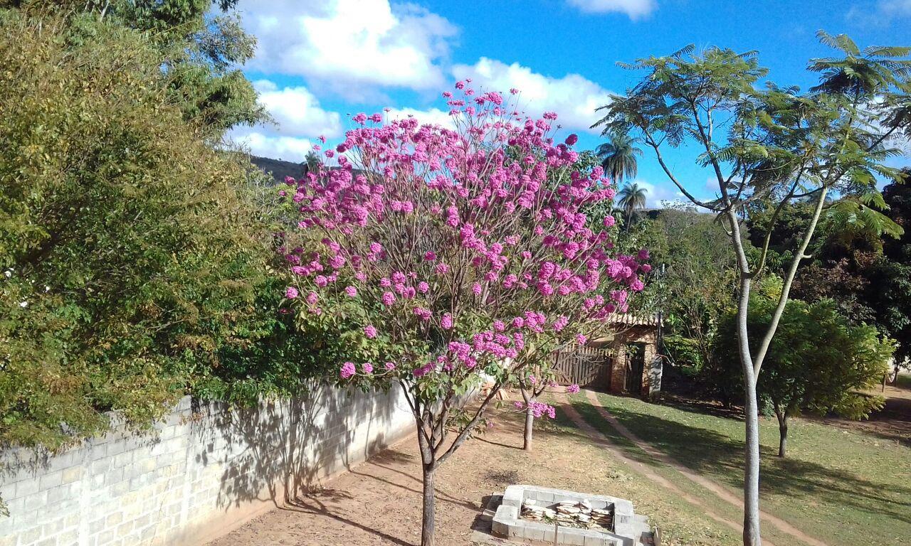 Cipo Hostel Serra do Cipo National Park Exterior photo